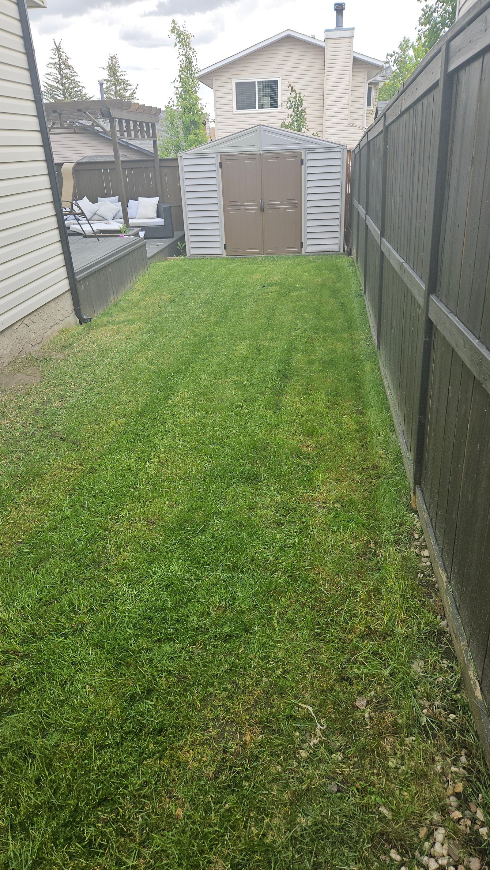 Before lawn care